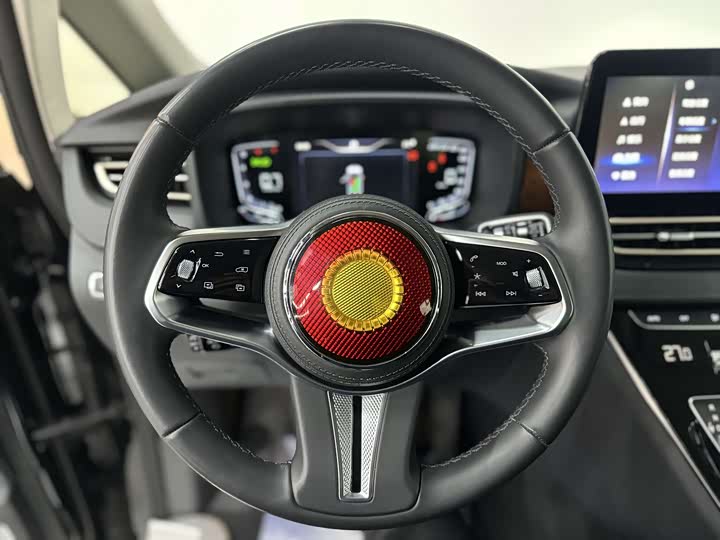 Фото 9 - Hongqi HQ9