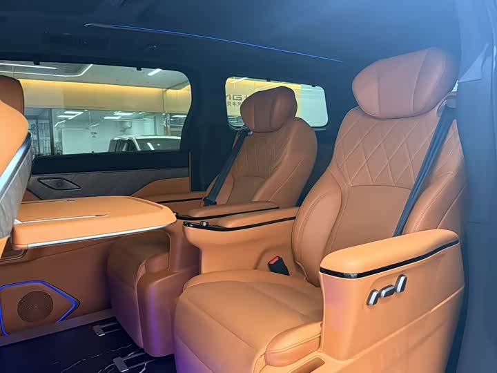 Фото 6 - Wey Gaoshan