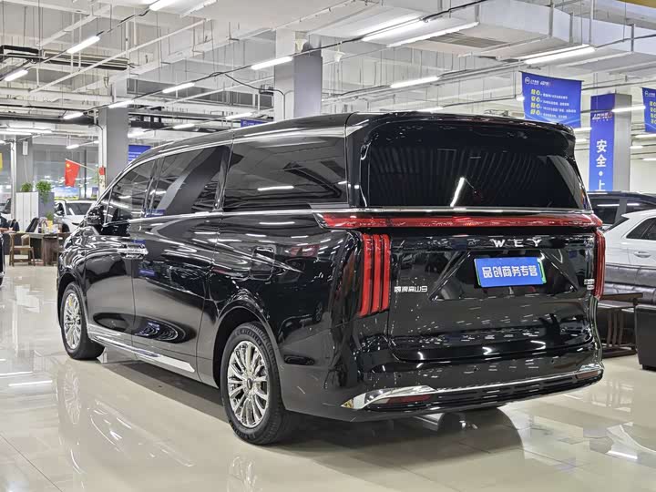 Фото 9 - Wey Gaoshan