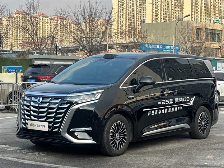 Фото 1 - Denza D9