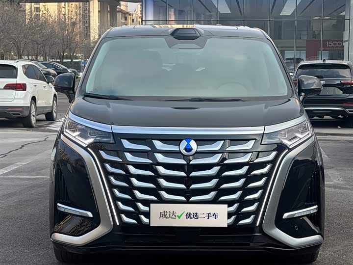 Фото 3 - Denza D9