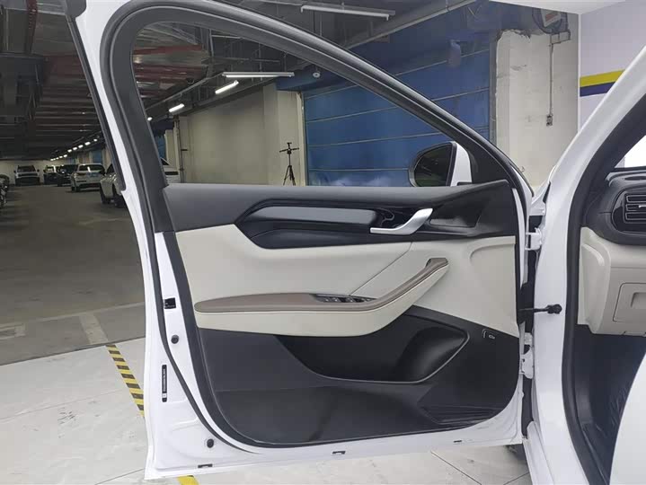 Фото 7 - BYD Qin Plus