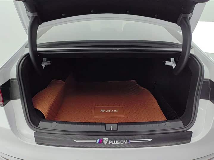 Фото 4 - BYD Qin Plus