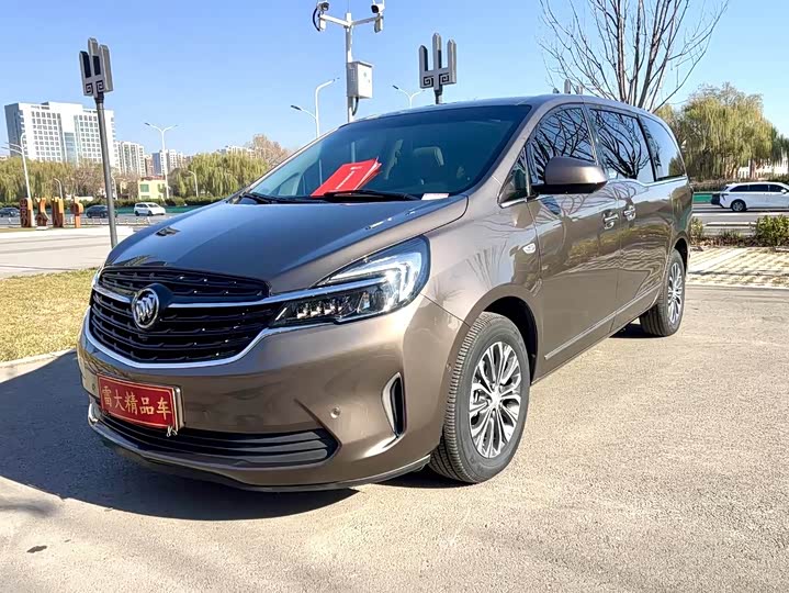 Фото 1 - Buick GL8 ES