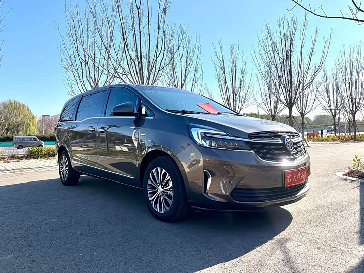 Фото 2 - Buick GL8 ES