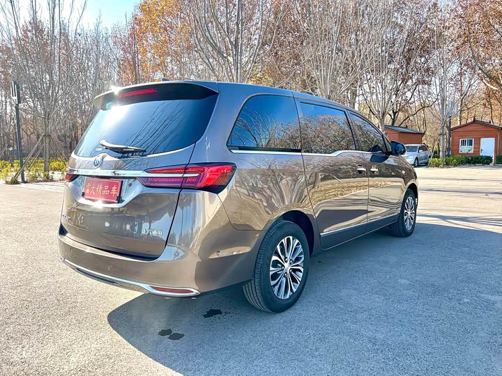 Фото 4 - Buick GL8 ES