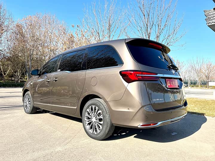 Фото 7 - Buick GL8 ES