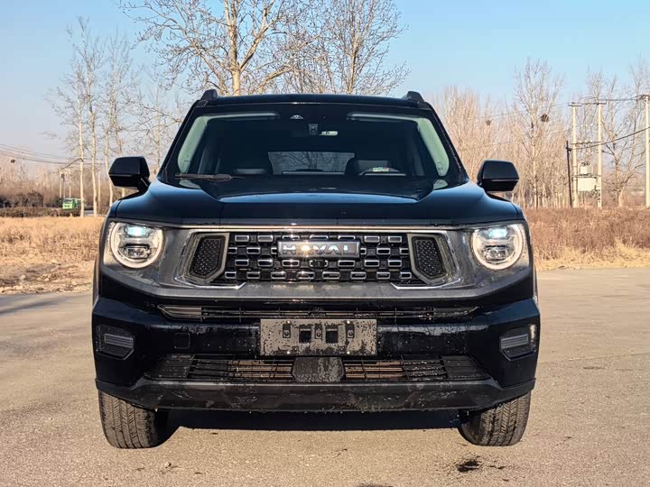 Фото 2 - Haval H-Dog