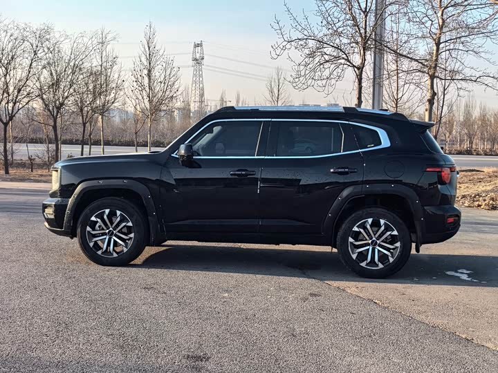 Фото 3 - Haval H-Dog