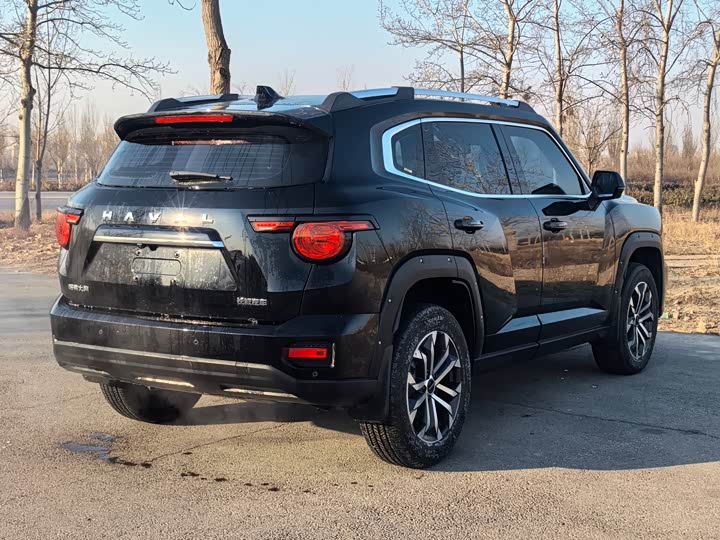 Фото 4 - Haval H-Dog