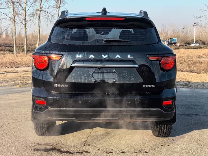 Фото 5 - Haval H-Dog