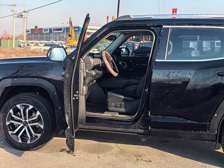 Фото 6 - Haval H-Dog