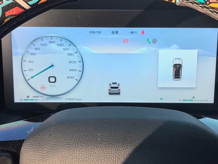 Фото 9 - Haval H-Dog