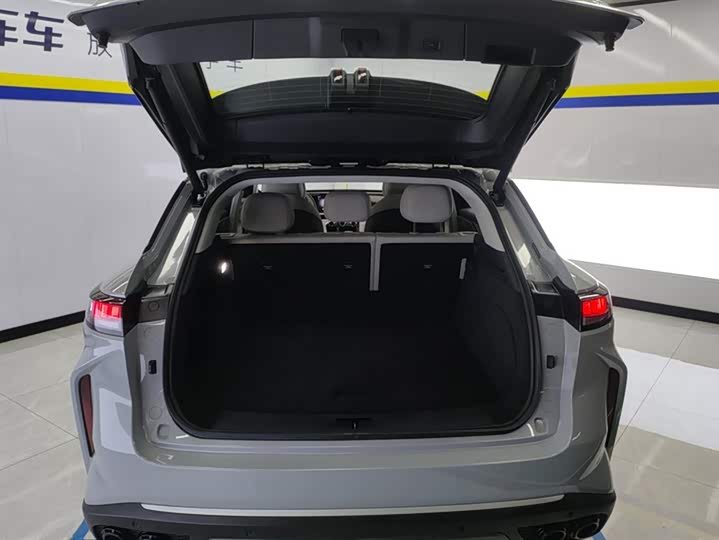 Фото 4 - Exeed RX C-DM Hybrid