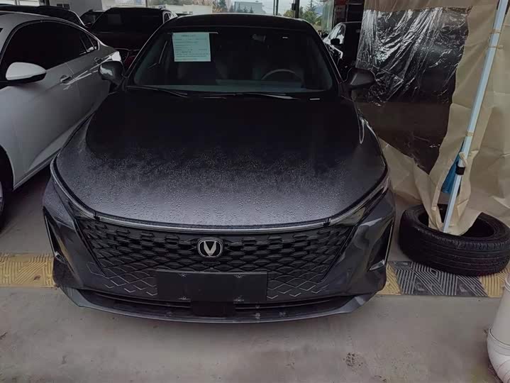 Фото 2 - Changan Raeton Plus