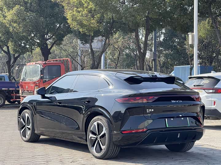 Фото 4 - BYD Song L