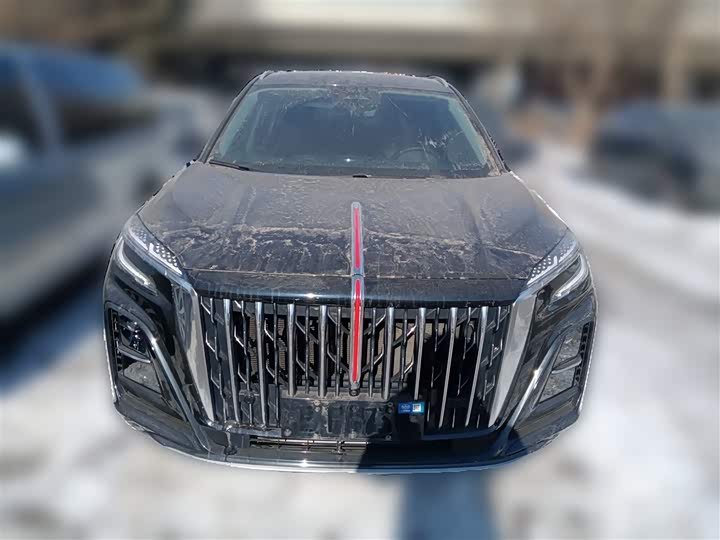 Фото 5 - Hongqi HS3 Hybrid