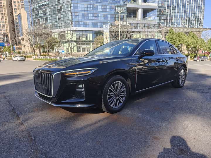 Фото 1 - Hongqi H5