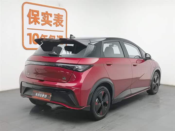 Фото 2 - BYD Dolphin