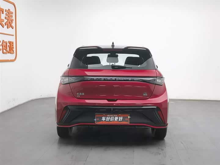 Фото 4 - BYD Dolphin