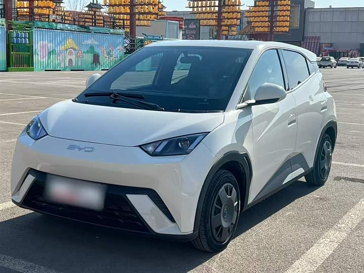 Фото 2 - BYD Seagull