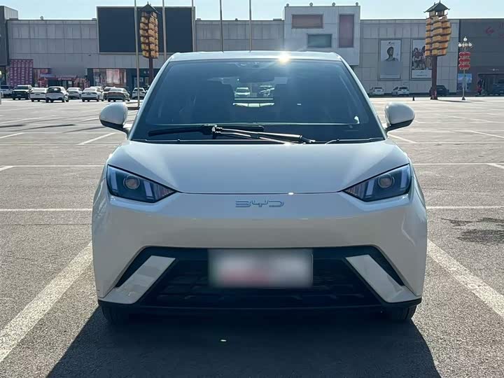 Фото 3 - BYD Seagull