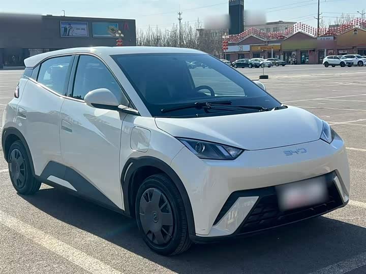 Фото 4 - BYD Seagull