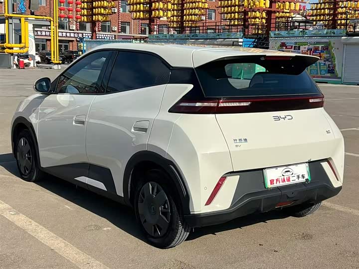 Фото 5 - BYD Seagull