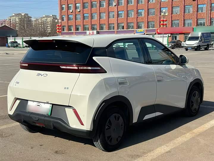 Фото 7 - BYD Seagull