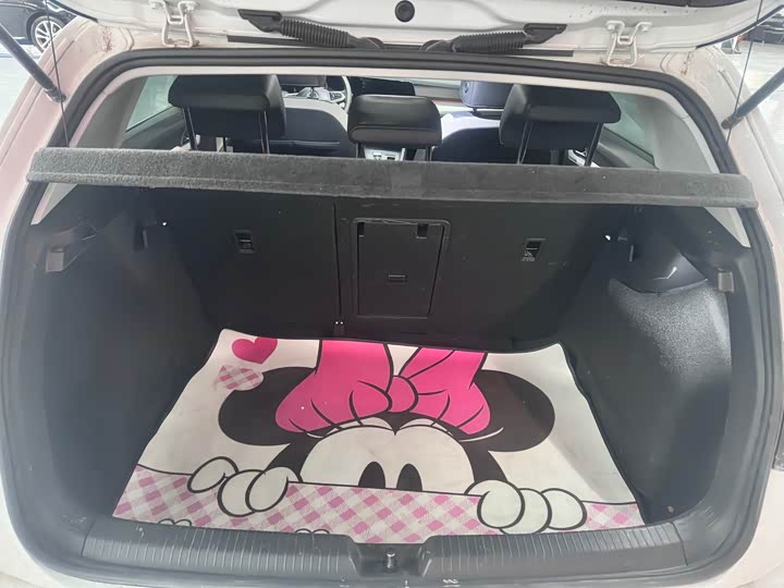 Фото 9 - Volkswagen Golf