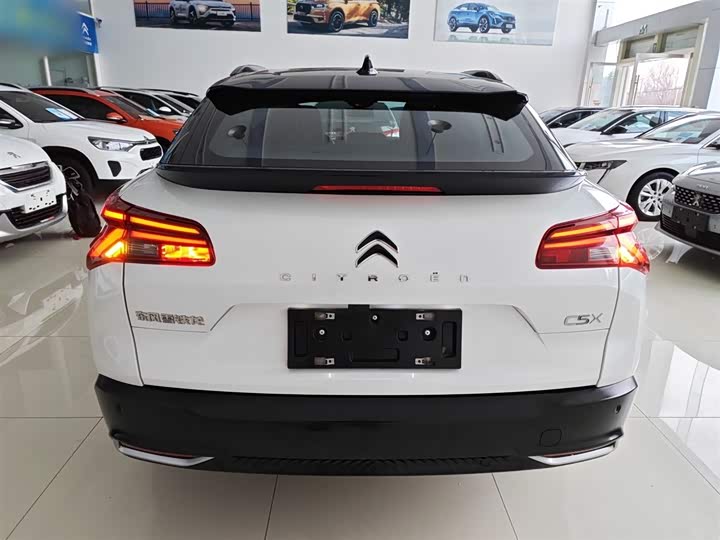 Фото 6 - Citroen C5 X