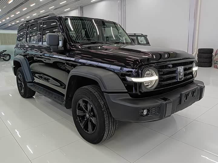 Фото 3 - Tank 300