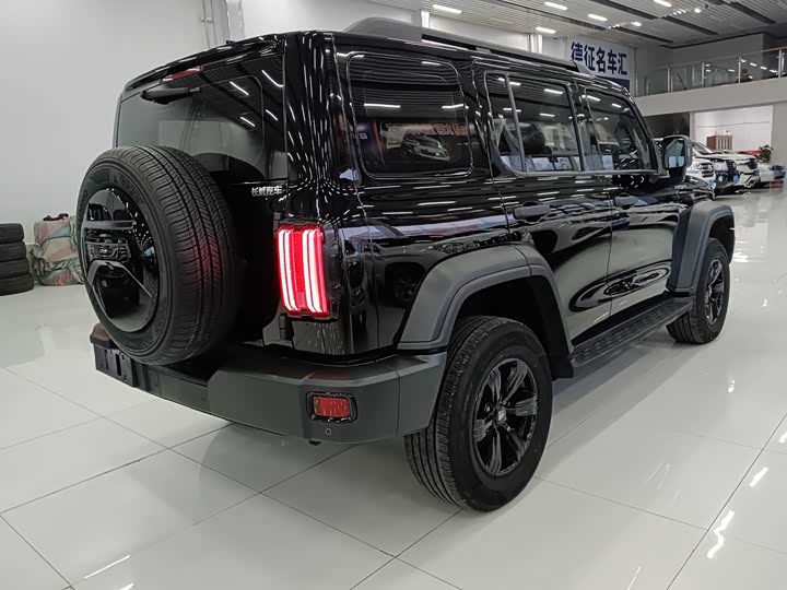 Фото 4 - Tank 300