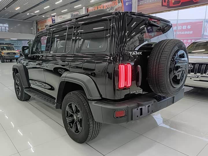 Фото 6 - Tank 300