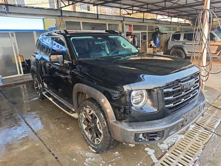 Фото 3 - Haval Dargo