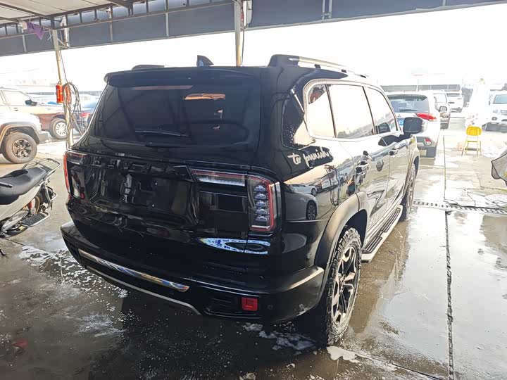 Фото 7 - Haval Dargo