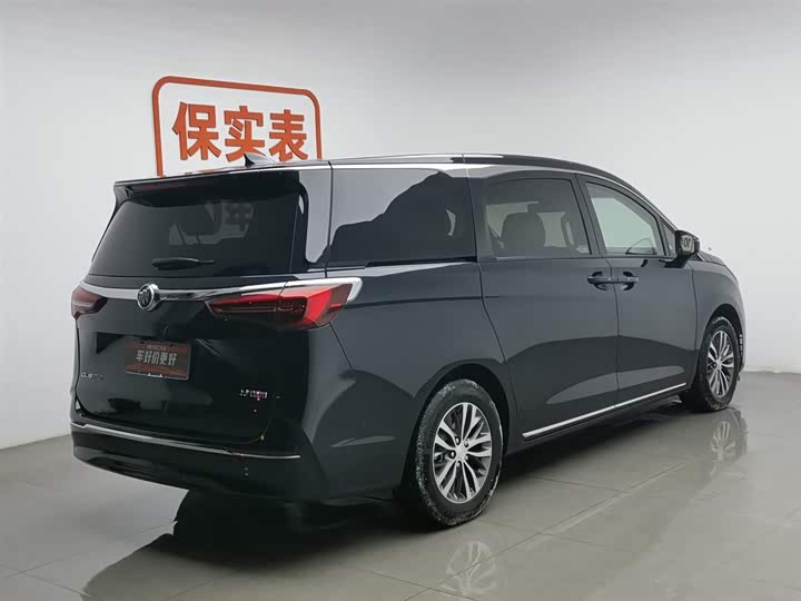 Фото 2 - Buick GL8 ES