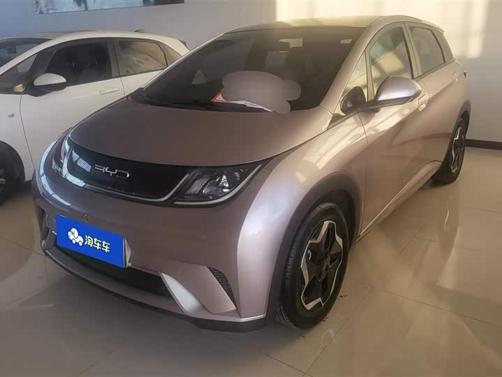 Фото 1 - BYD Dolphin