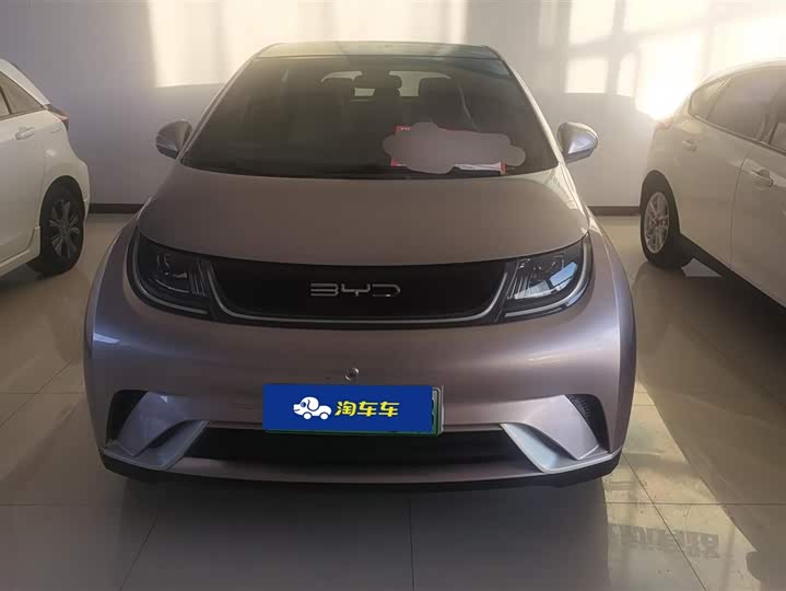 Фото 2 - BYD Dolphin