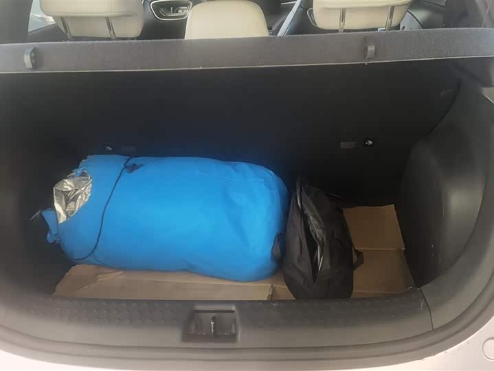 Фото 4 - BYD Dolphin