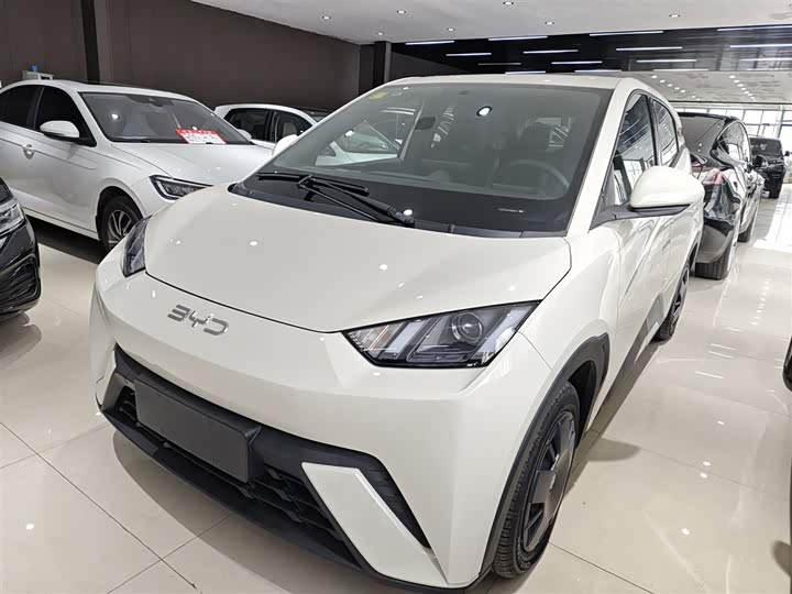 Фото 1 - BYD Seagull