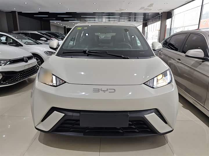 Фото 3 - BYD Seagull