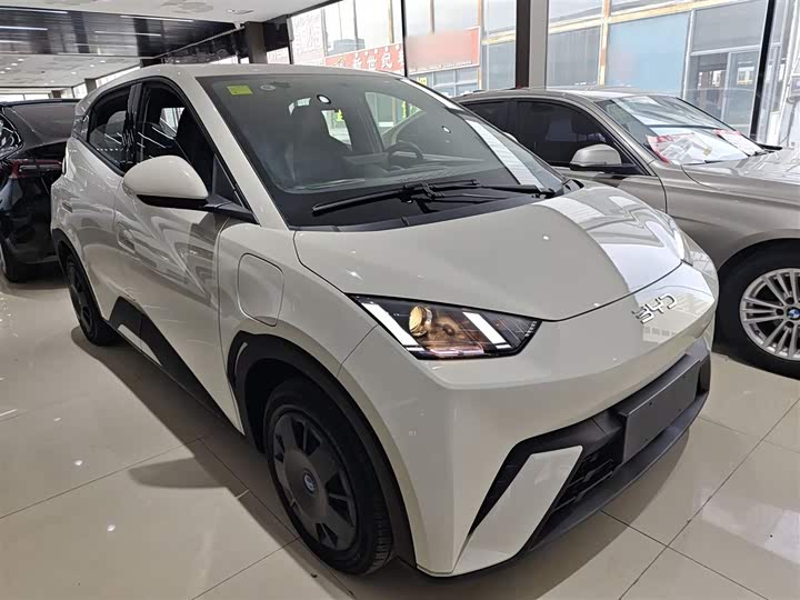 Фото 4 - BYD Seagull