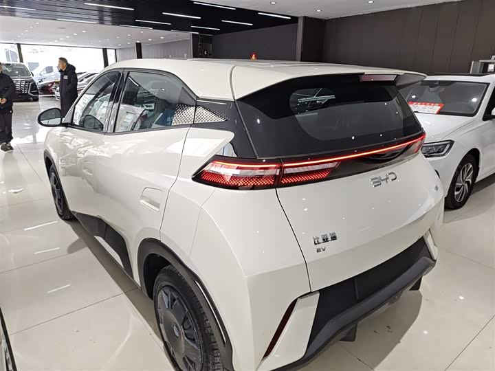 Фото 5 - BYD Seagull