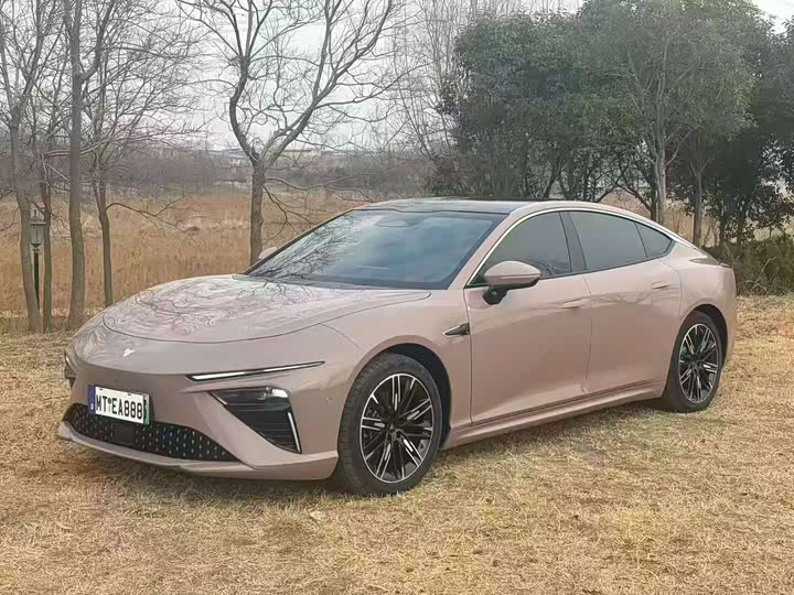 Фото 1 - Hozon S