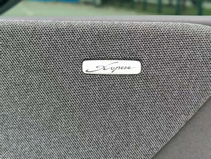 Фото 4 - XPeng X9