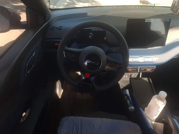 Фото 3 - BYD Seagull