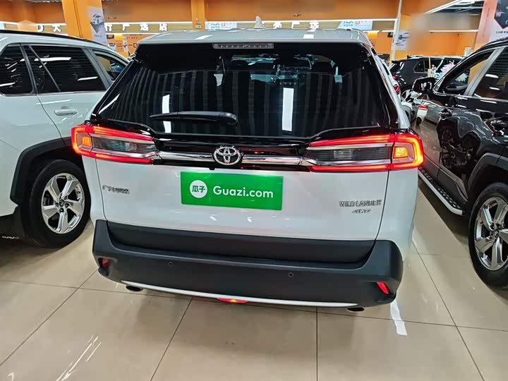 Фото 6 - Toyota Wildlander