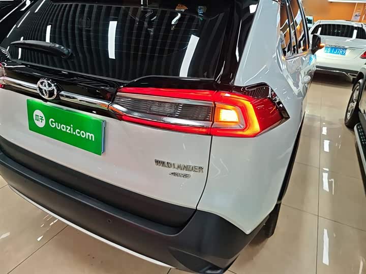 Фото 8 - Toyota Wildlander