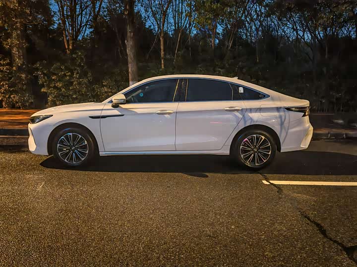 Фото 8 - Chery Fulwin A8